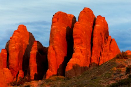 Fiery Fins