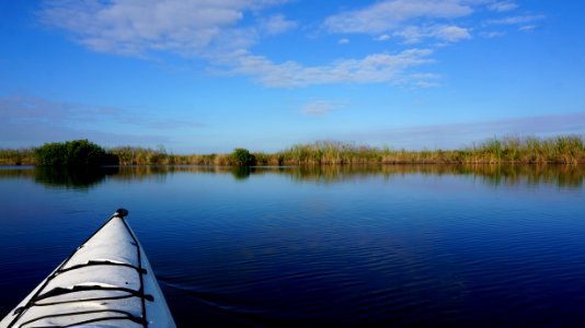 Turner River marsh photo