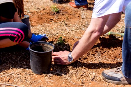San Diego Bay National Wildlife Refuge - Wilkweed Planting Event