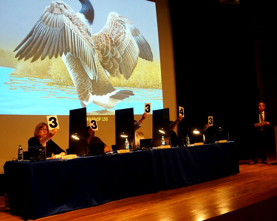 2017 Federal Duck Stamp Art Contest Media Kit