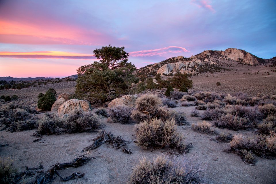 Granite Mountain Wilderness
