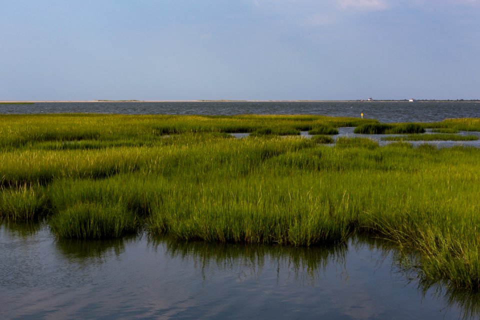 Chincoteague National Wildlife Refuge