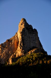 DSC 2277