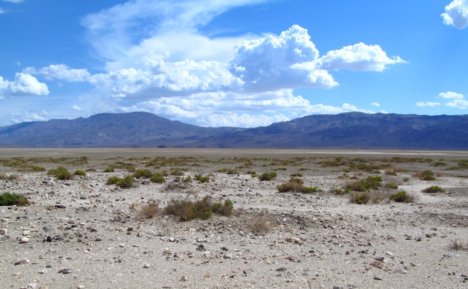 South End Panamint Valley