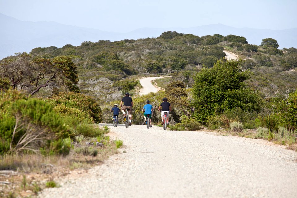 Group of Bicyclists at Fort Ord