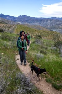 Pacific Crest Trail photo