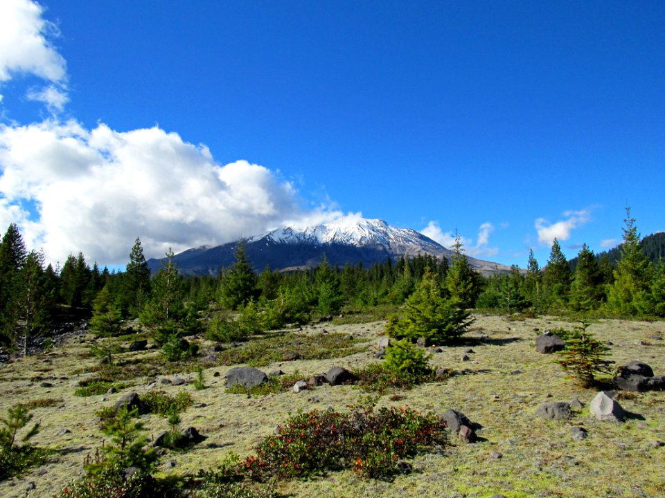 Lahar Viewpoint at Mt. St. Helens NM in WA