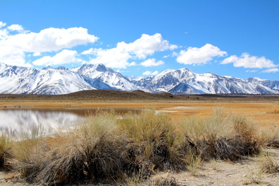 WINNER: Long Valley in Bishop Field Office