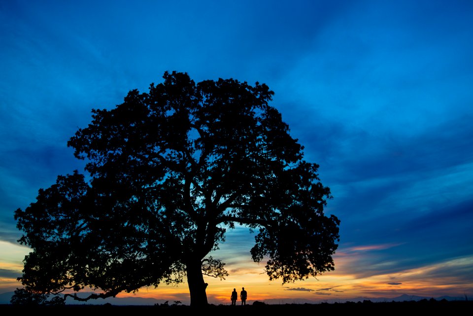 Sacramento River Bend Outstanding Natural Area