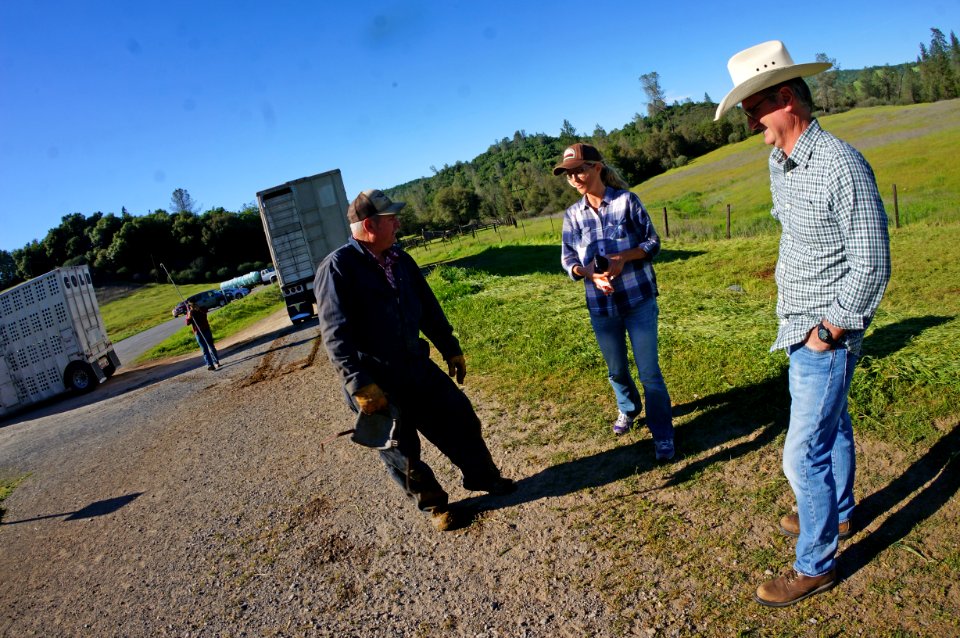 Flocking Back to the Hills of Cronan Ranch