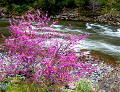 Merced Wild and Scenic River