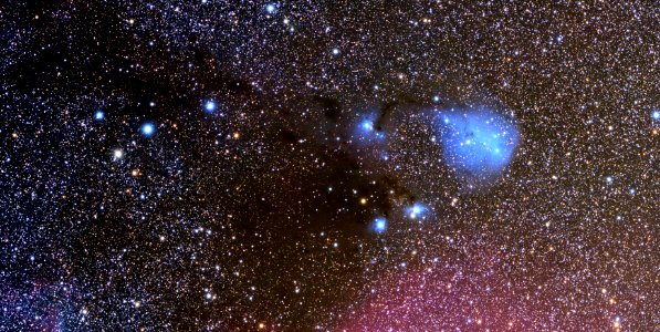 IC2169/ IC447 , a reflection Nebula in Monoceros with identity crisis photo