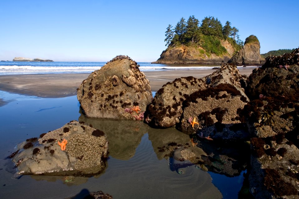 California Coastal National Monument at Trinidad Head