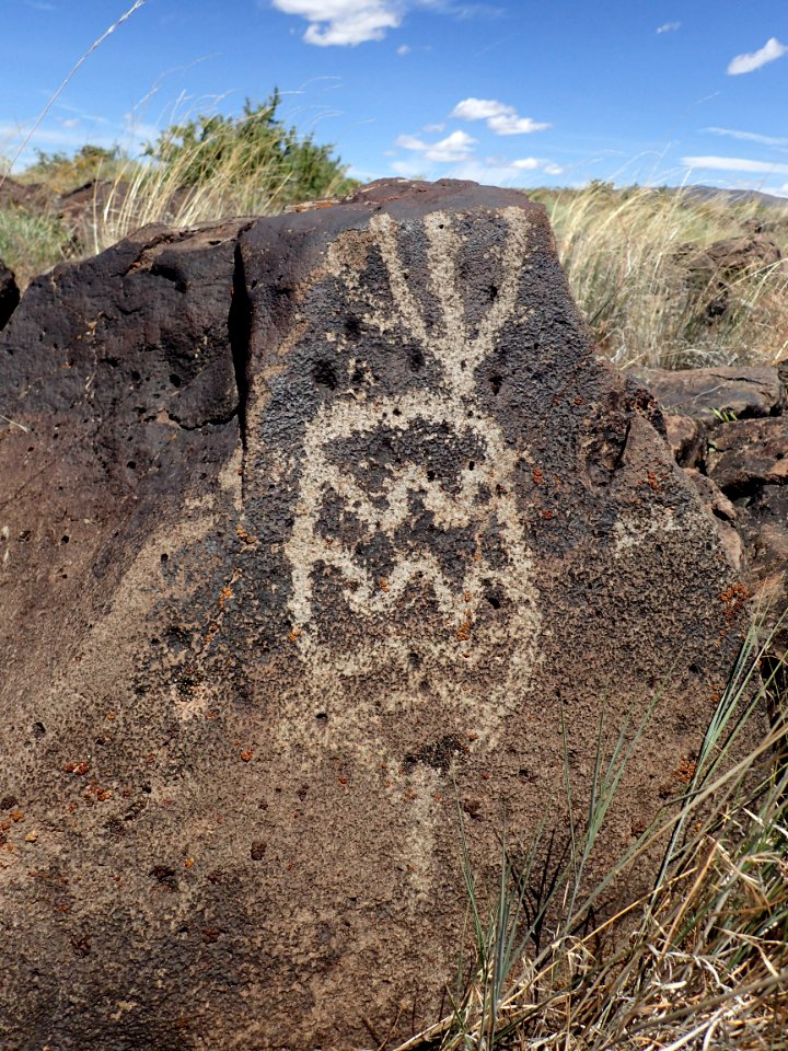 Thistle Petroglyph in Eagle Lake Field Office