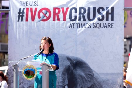 Ivory Crush 2015 - New York City
