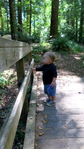 Exploring Wailaki Campground