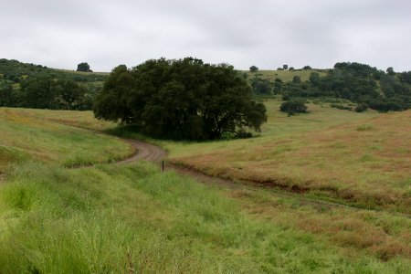 Cronan Ranch