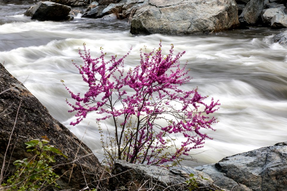 Merced Wild and Scenic River