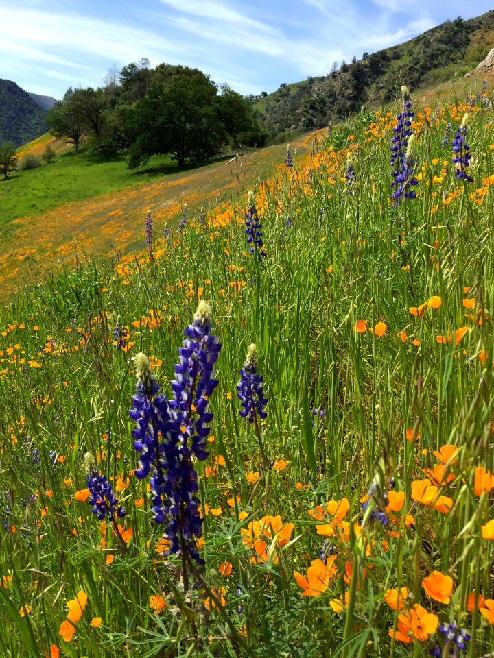 Merced River Recreation Area