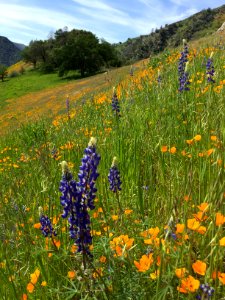 Merced River Recreation Area