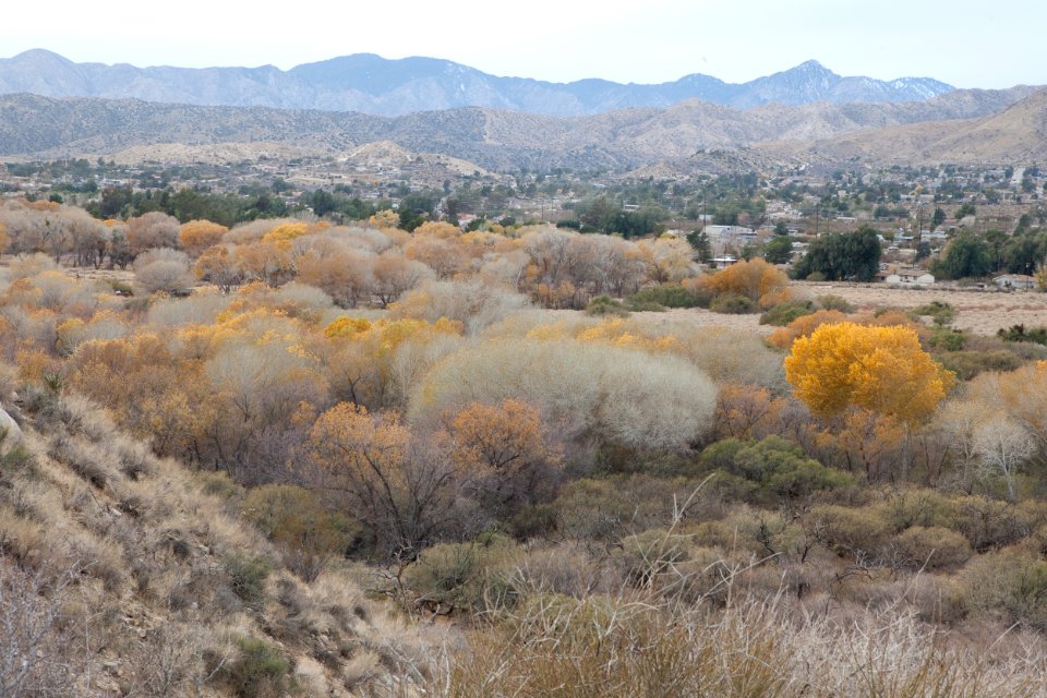 Sand to Snow National Monument