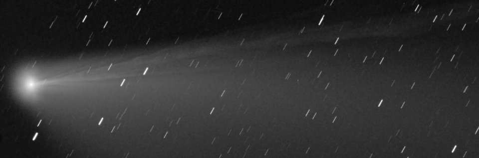 Comet C/2020F3 NEOWISE photo