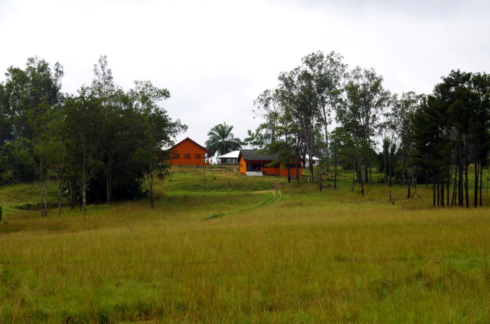 FWS Directer Dan Ashe visits Gabon