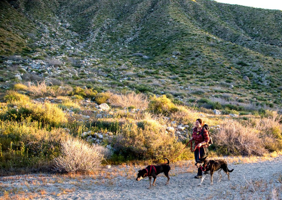 Pacific Crest Trail