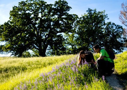 Berryessa Snow Mountain National Monument