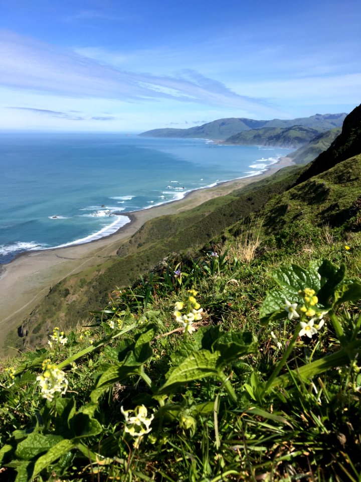 Mattole Recreation Site