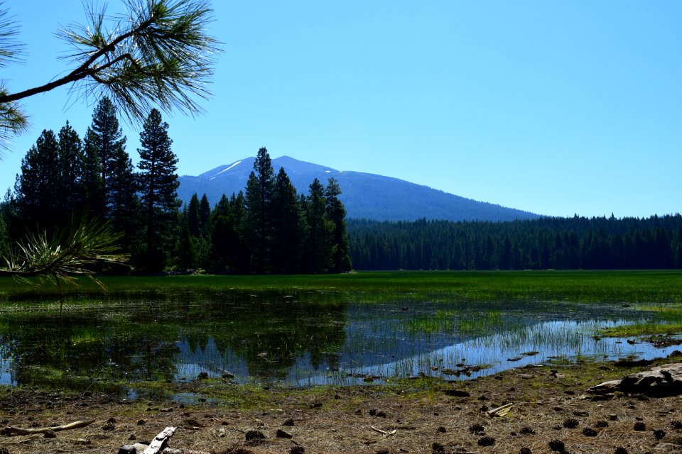 Dry Lake, Redding Field Office