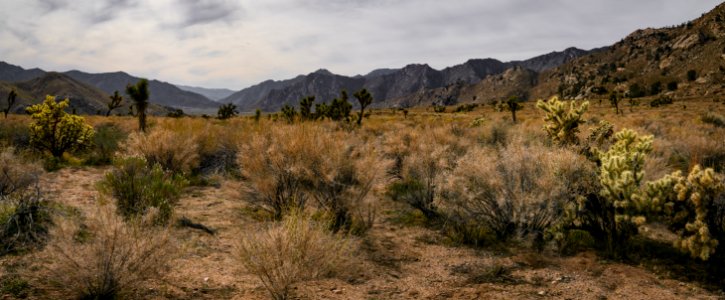 Owens Peak Wilderness