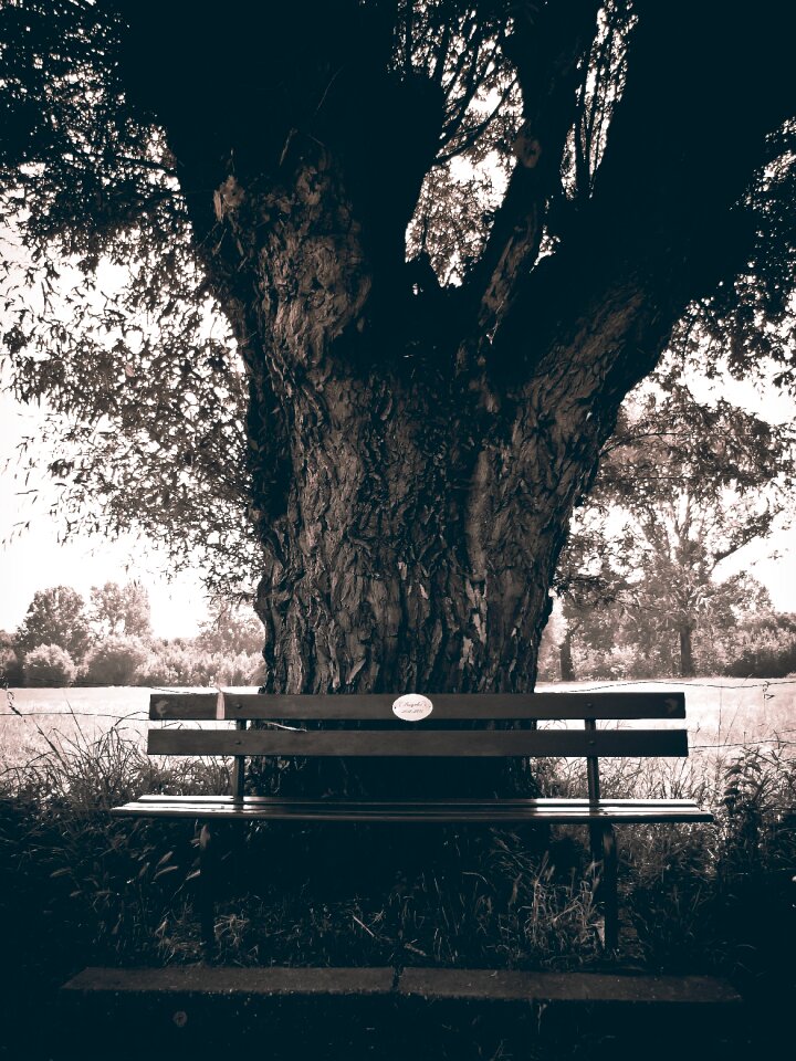 Seat landscape rest