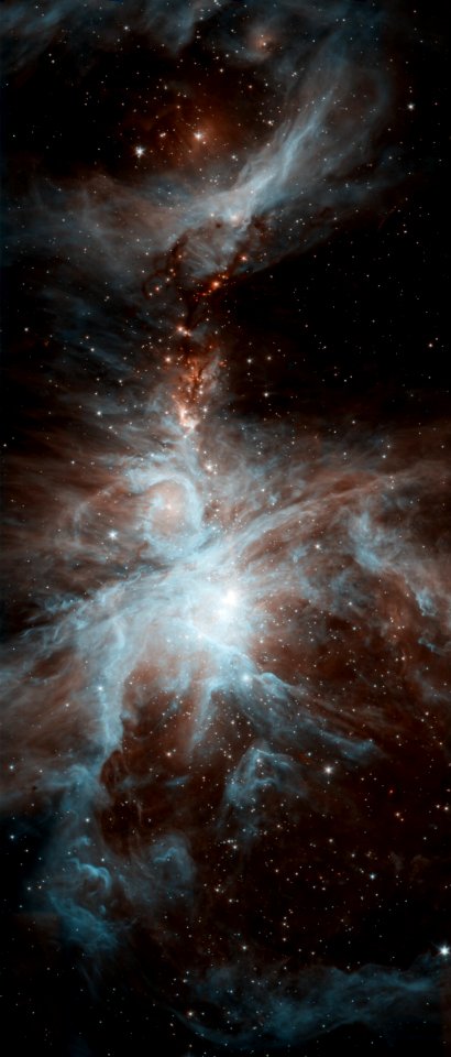 Orion's Dreamy Stars