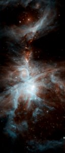 Orion's Dreamy Stars