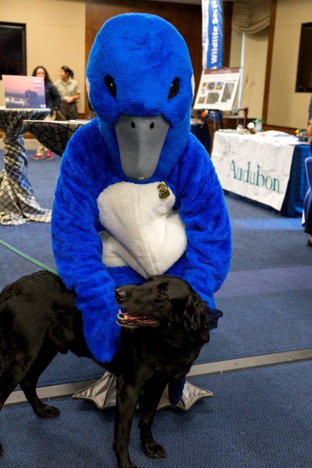 2017 Refuge Expo on Capitol Hill