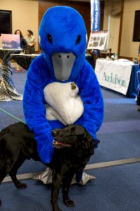 2017 Refuge Expo on Capitol Hill
