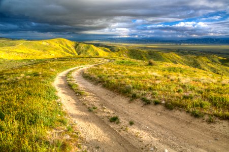 April 2019 Wildflowers at Carrizo Plain National Monument photo