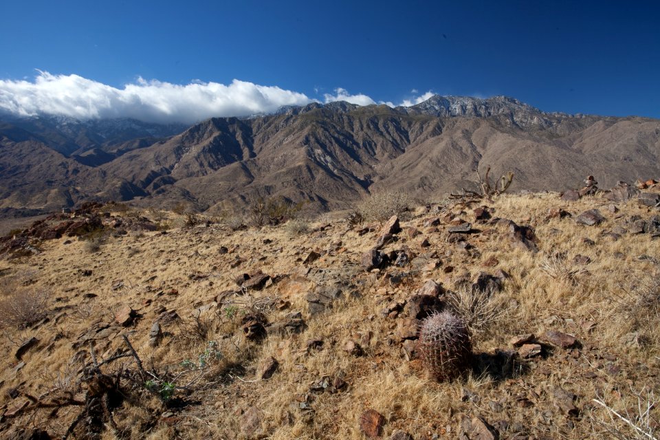 Santa Rosa San Jacinto Mountains National Monument