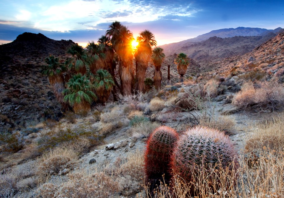 Santa Rosa San Jacinto Mountains National Monument
