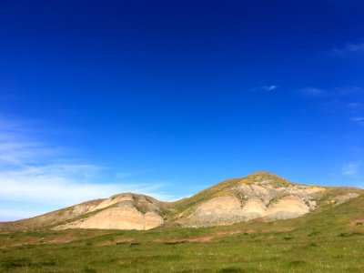 March 2017 Central Coast Field Office Wildflower Tour of Monvero Dunes located in the San Joaquin Desert (Valley)