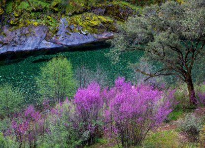 North Fork of the American River