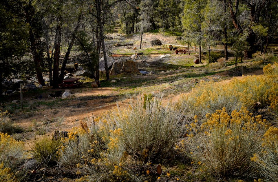 Chimney Creek Campground