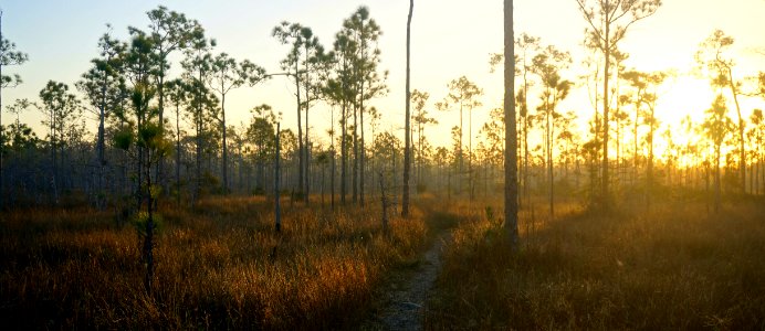 Hiking the Florida Trail