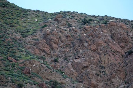 Sand to Snow National Monument