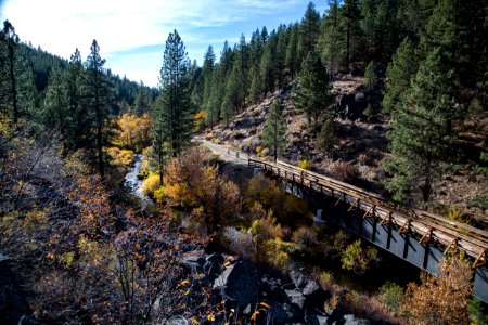 Bizz Johnson Trail