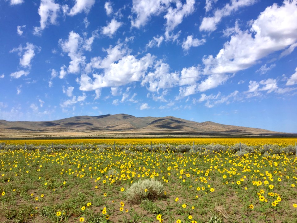 Secret Valley in Eagle Lake Field Office