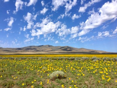 Secret Valley in Eagle Lake Field Office