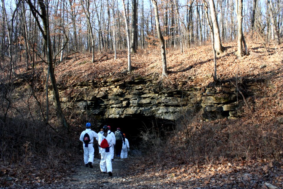 2015 Winter bat survey, Sodalis Nature Preserve, MO