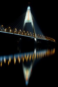 Danube night picture animal lungs